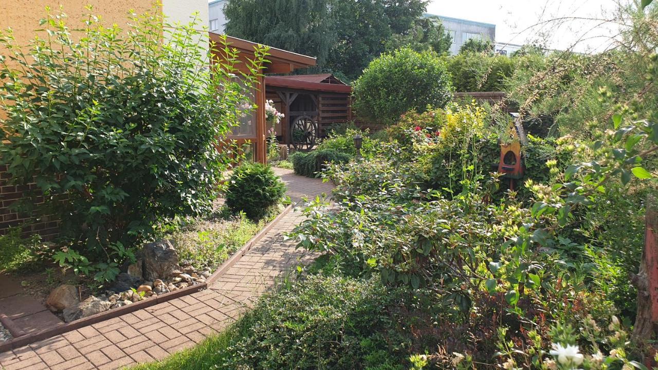 Haesselhof - 80Qm Ferienwohnung Im Zentrum Von באד ליבנוורדה מראה חיצוני תמונה